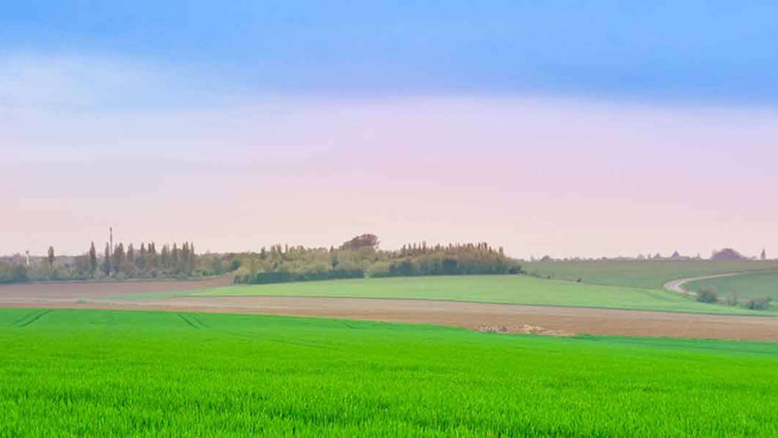 Farmland in Belgium