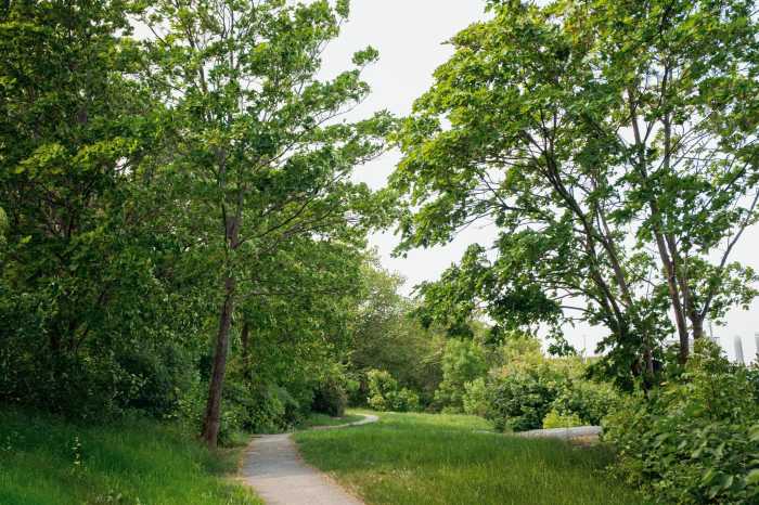 Natur