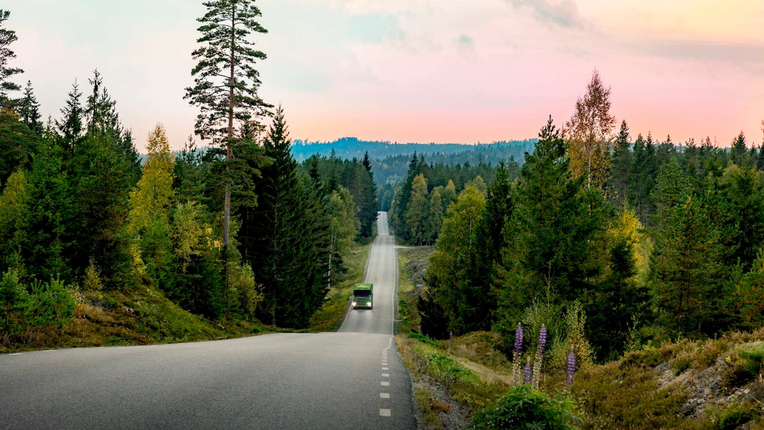 En väg i skogen